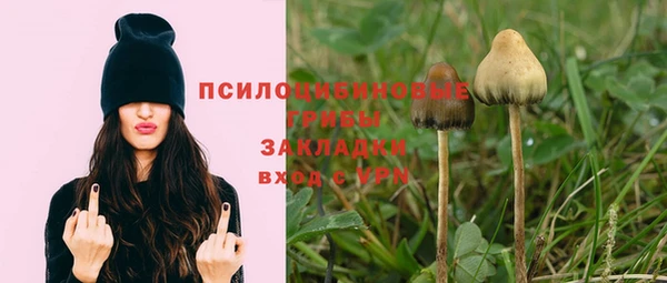 гашик Краснотурьинск