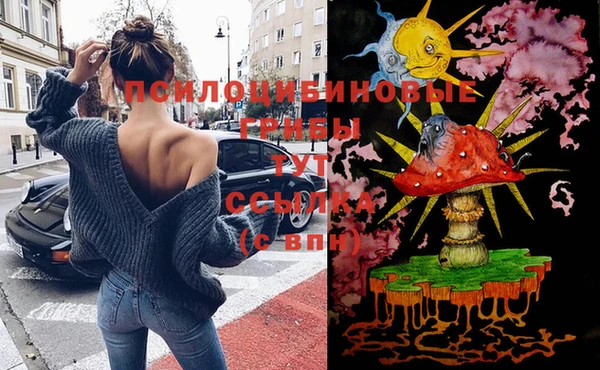MDMA Краснослободск