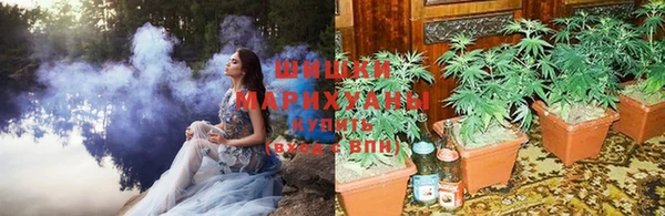 гашик Краснотурьинск